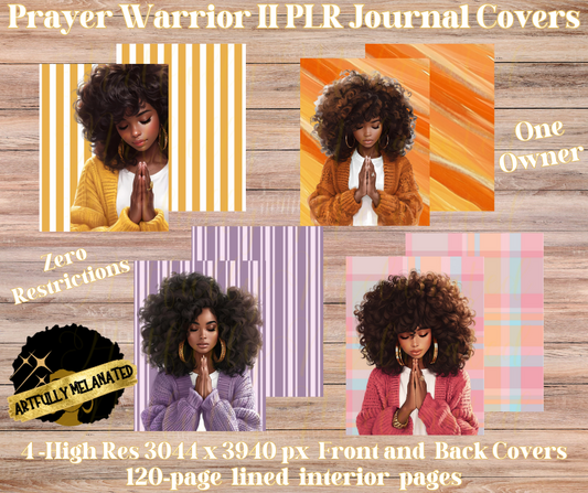 Prayer Warrior II PLR Bundle